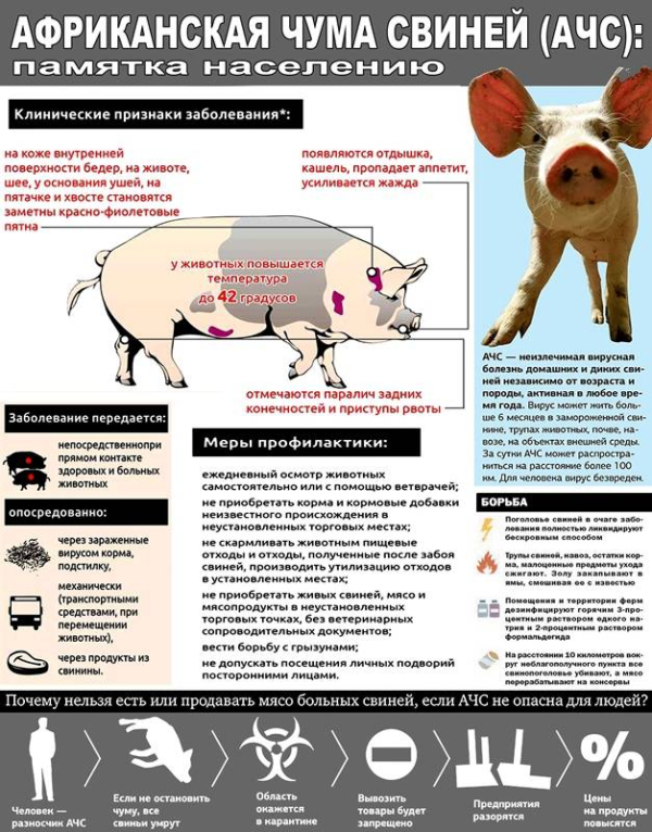 Памятка по АЧС
