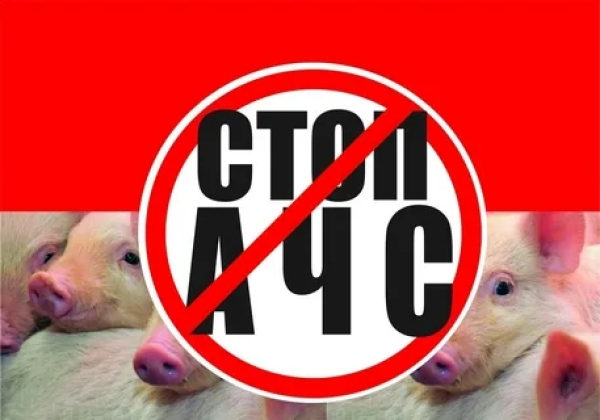 ВНИМАНИЕ!!!
